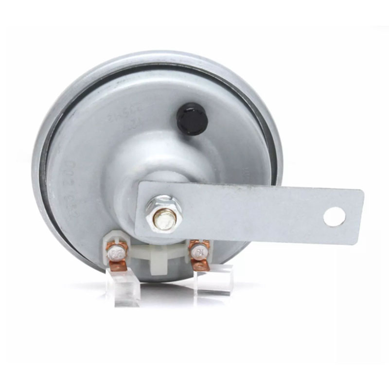 Professional Auto Horn